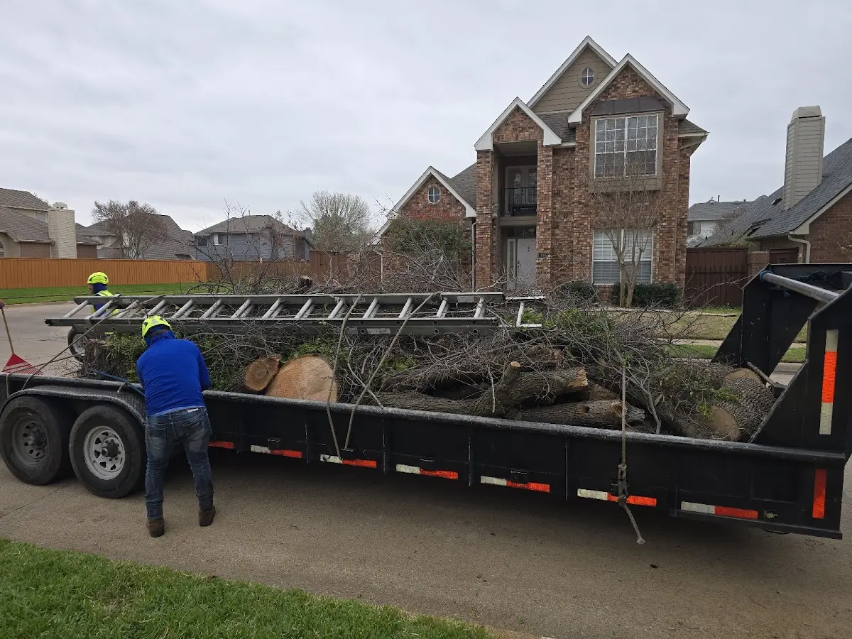 Expert Crown Reduction with proper safety equipment in Selma